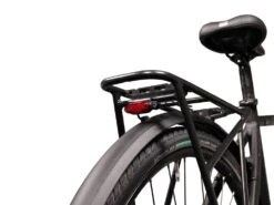 Lupine, C14 G (Gepäckträgerversion)